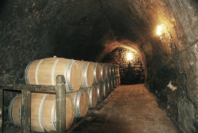Scopri i Vigneti: Le Migliori Cantine d’Italia Scopri i Vigneti: Le Migliori Cantine d’Italia
